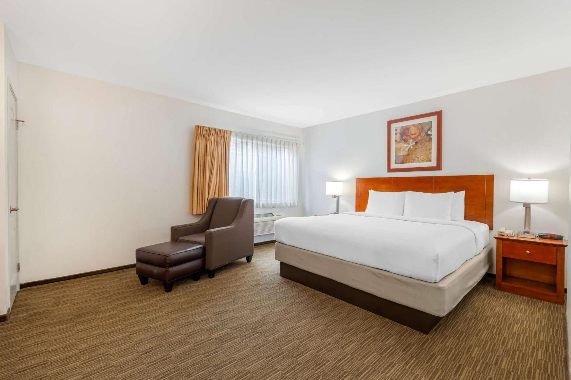 Comfort Inn Cockatoo Near Lax Airport Хоторн Екстериор снимка