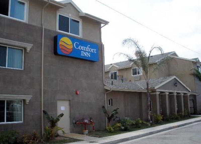 Comfort Inn Cockatoo Near Lax Airport Хоторн Екстериор снимка