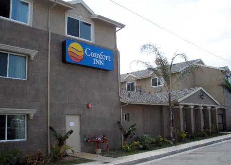 Comfort Inn Cockatoo Near Lax Хоторн Екстериор снимка